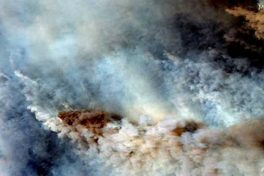 Cháy rừng Australia: Phát hiện khói đã lan đến Chile và Argentina