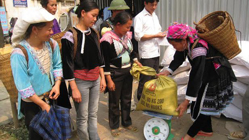Chính phủ hỗ trợ 4.900 tấn gạo cho 6 tỉnh