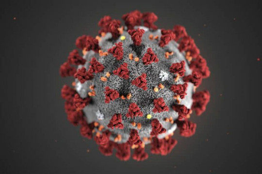 [Infographics] Cơ chế nhân lên của chủng virus 2019-nCoV