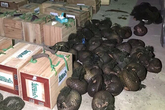 Việt Nam kiểm soát chặt nhập khẩu động vật hoang dã