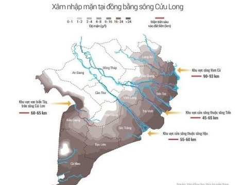 [Infographics] Xuất hiện xâm nhập mặn cao nhất trên sông Cửu Long từ 11-15/2