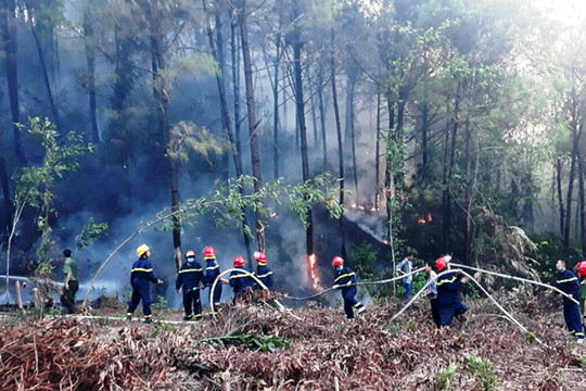 [Infographic] Tăng cường các biện pháp phòng cháy, chữa cháy rừng
