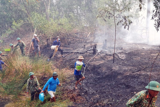 Kiên Giang: Cháy lớn thiêu rụi hàng chục héc ta rừng tràm