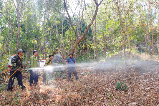 Nâng mức cảnh báo cháy rừng lên cấp cực kỳ nguy hiểm tại Hậu Giang