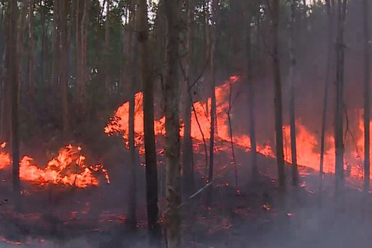 Cảnh báo cháy rừng tại Gia Lai do nắng nóng kéo dài