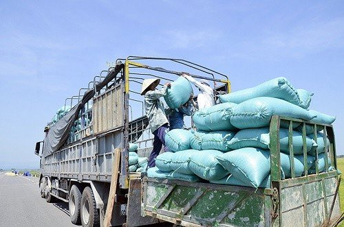 Tiếp tục xuất cấp hơn 4.300 tấn gạo cho ba tỉnh miền Trung