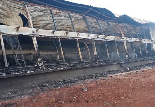 Bình Phước: Trang trại nuôi lợn bị “bà hỏa” thiêu rụi, ước tính thiệt hại 90 tỷ đồng