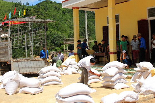 Cấp hơn 8.400 tấn gạo cho 12 địa phương dịp Tết Nguyên đán Tân Sửu