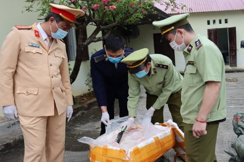 Lạng Sơn: Phát hiện 2,5 tấn nầm lợn không rõ nguồn gốc