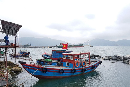 Quảng Bình: Chi hơn 14,2 tỷ đồng hỗ trợ cho các tàu thuyền khai thác hải sản trên vùng biển xa