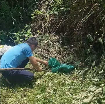 Hà Tĩnh: Chủ nhà hàng giao nộp 3 cá thể rắn thả về rừng