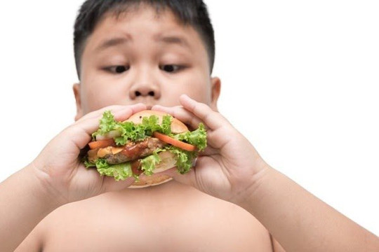 [Infographic] Tỷ lệ trẻ Việt Nam thừa cân, béo phì tăng hơn gấp đôi trong 10 năm