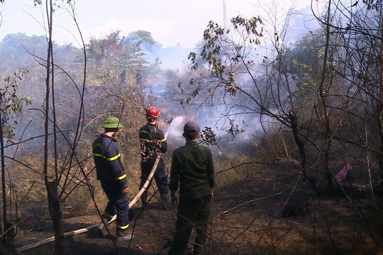 Báo động nguy cơ cháy rừng ở Đà Nẵng lên đến cấp cao nhất