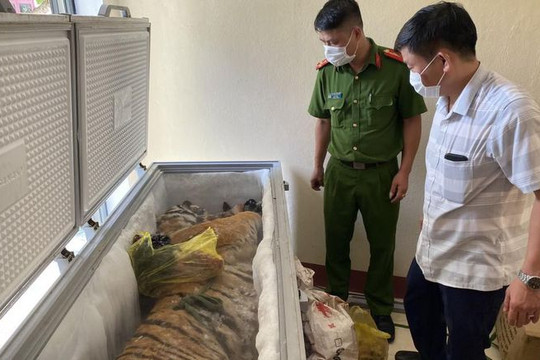 Hà Tĩnh phát hiện xác hổ đông lạnh nặng 160kg trong nhà dân