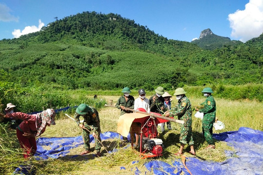 Quảng Bình: Bộ đội Biên phòng cùng bà con dân tộc Vân Kiều thu hoạch lúa vụ hè thu