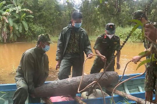 Cà Mau: Phát hiện bom nặng 250kg ở rừng U Minh