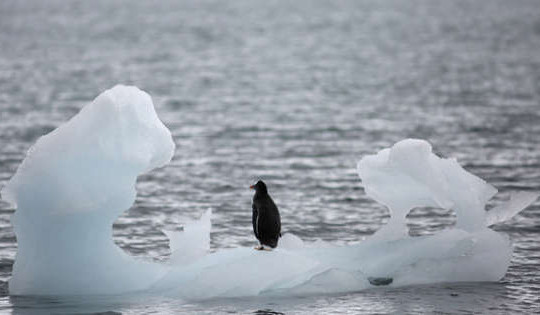 [Infographic] Diện tích băng biển Nam Cực xuống mức thấp nhất lịch sử