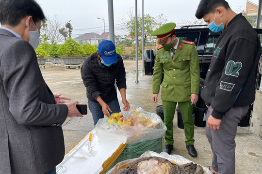Thừa Thiên-Huế: Phát hiện gần 2 tấn nội tạng không rõ nguồn gốc chuẩn bị tuồn ra thị trường