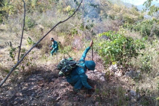 Ninh Thuận: Phòng chống cháy rừng hiệu quả từ việc thực hiện đốt chặn có điều khiển