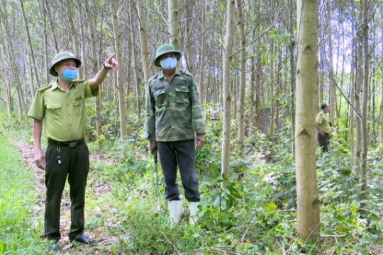 Bố trí đủ lực lượng kiểm lâm tăng cường bảo vệ và quản lý rừng hiệu quả