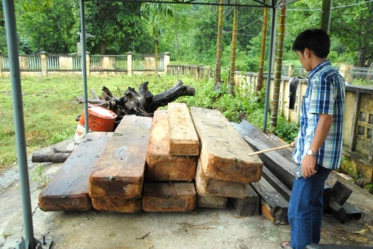 Bình Định và Gia Lai phối hợp ngăn chặn phá rừng giáp ranh