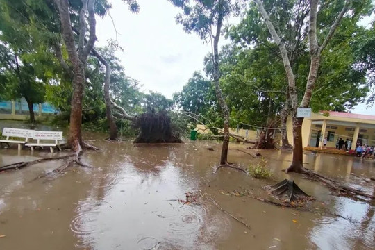 Sóc Trăng: Hỗ trợ các hộ dân bị ảnh hưởng do lốc xoáy