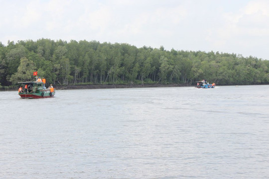 Đồng Nai: Trồng rừng thay thế tại rừng ngập mặn Long Thành- Nhơn Trạch