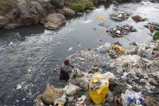 43% sông trên thế giới bị ô nhiễm các loại dược phẩm nguy hiểm