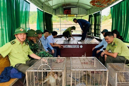 Hà Tĩnh: Vườn Quốc gia Vũ Quang thả nhiều động vật hoang dã về môi trường tự nhiên