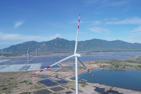 Ninh Thuận: Ban hành kế hoạch hành động để trở thành trung tâm năng lượng tái tạo của cả nước