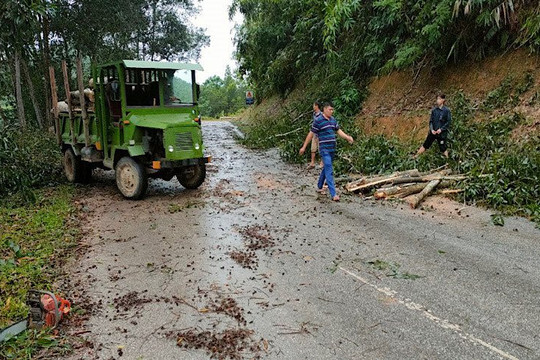 Tuyên Quang: Dông lốc làm thiệt hại lớn về tài sản, hoa màu của người dân huyện Na Hang
