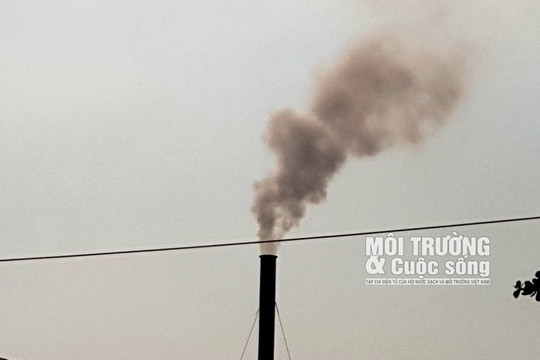 Tp. Hồ Chí Minh – Bài 2: Công ty TNHH Phú Tân Thịnh gây ô nhiễm, bao giờ phải dừng hoạt động và di dời?