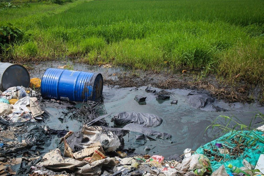 Xử phạt lên đến 150 triệu đồng đối với hành vi gây ô nhiễm đất, nước