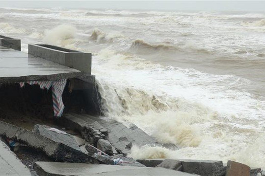 Cảnh báo triều cường, sóng lớn khu vực biển Tây Nam Bộ