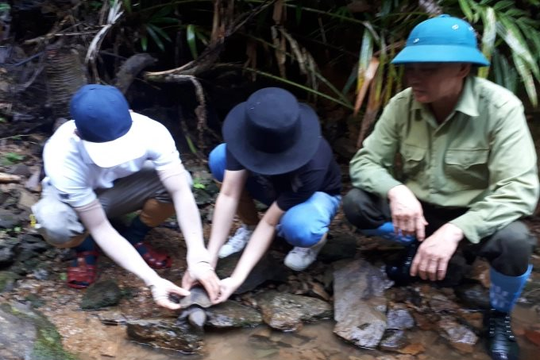 Thừa Thiên-Huế: Tái thả 70 cá thể rùa về Khu Bảo tồn Thiên nhiên Saola
