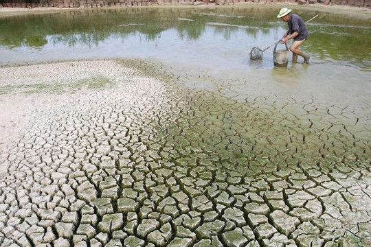 Cần 368 tỷ USD để giảm nhẹ các tác động biến đổi khí hậu tại Việt Nam