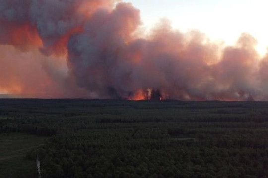 Nhiều nước châu Âu căng minh ứng phó nắng nóng kỷ lục, cháy rừng lan rộng