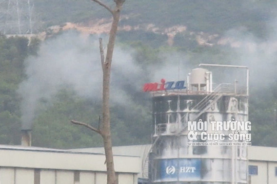 Phản hồi bài báo Nghi Sơn (Thanh Hóa): Dân “kêu cứu” vì nhà máy sản xuất bao bì xả khói gây ô nhiễm môi trường