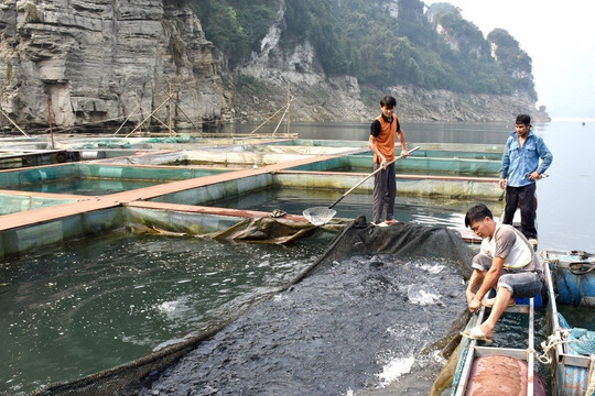 Tuyên Quang chung tay bảo vệ môi trường nuôi trồng thuỷ hải sản
