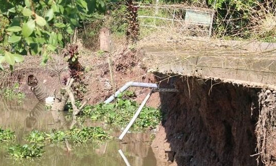 Bờ kênh rạch vùng ngập lũ phía Tây tỉnh Tiền Giang liên tục bị sạt lở