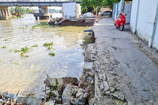 Cần Thơ: Khẩn trương tháo gỡ khó khăn để thi công kè chống sạt lở sông Ô Môn