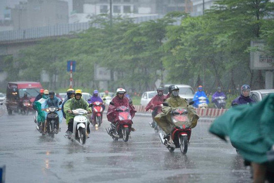 Dự báo thời tiết ngày 31/7: Thanh Hóa và Nghệ An cục bộ có mưa rất to