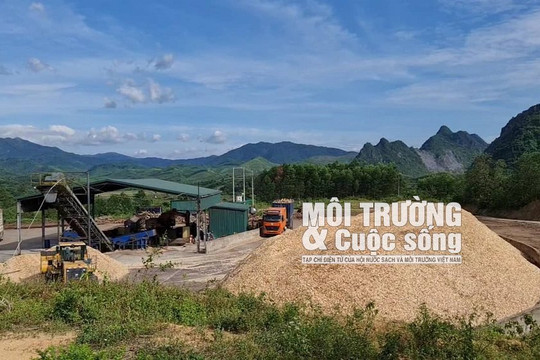 Loạt nhà máy sản xuất dăm gỗ Quảng Trị: (Bài 2) Đề xuất xử phạt từ 100 triệu – 200 triệu đồng đối với Công ty TNHH MTV Nguyễn Tuấn Hoàng