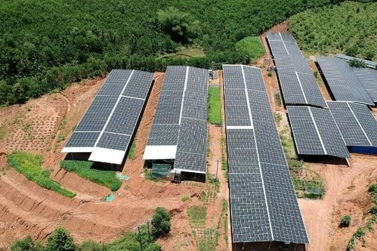 Quảng Ngãi cần tăng cường công tác quản lý các "trang trại điện mặt trời"
