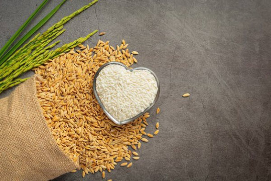 Chính phủ xuất cấp 647,3 tấn hạt giống lúa hỗ trợ tỉnh Quảng Ngãi