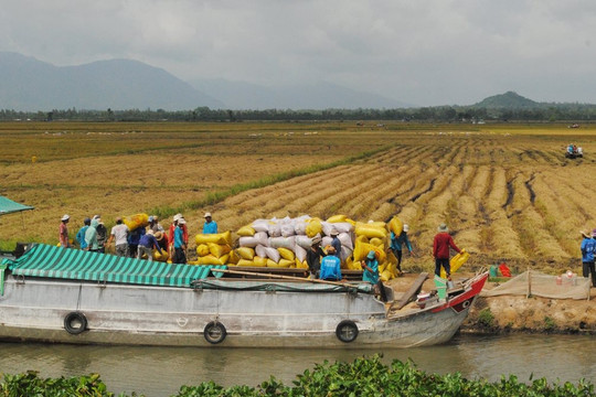Tháo điểm nghẽn để phát triển Đồng bằng sông Cửu Long trước biến đổi khí hậu
