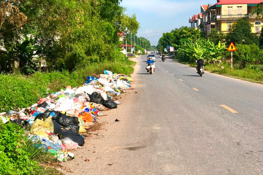 Bắc Giang: Nạn tập kết rác trên tỉnh lộ 295 gây mất vệ sinh môi trường