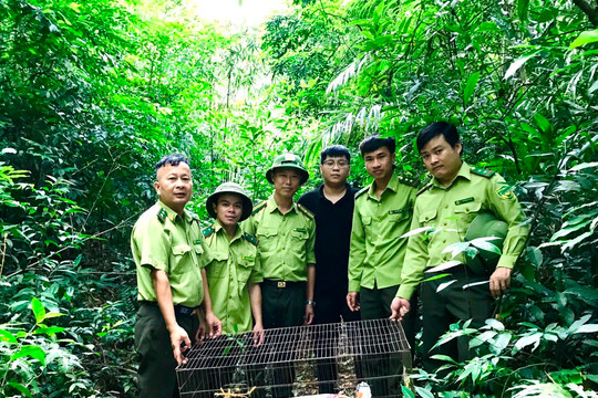 Bắc Giang: Thả cá thể Cu li nhỏ về rừng tự nhiên Tây Yên Tử