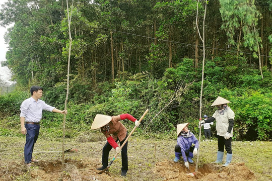 Thái Nguyên: Trồng trên 1,1 triệu cây xanh trong 7 tháng đầu năm 

