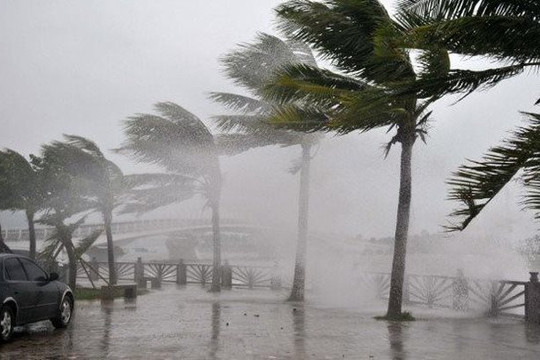 Theo dõi chặt chẽ, chủ động ứng phó với áp thấp nhiệt đới có khả năng mạnh lên thành bão